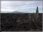 foto Isole Galapagos